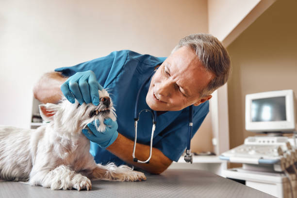 Best Emergency Gum Treatment in Lake Mohawk, NJ