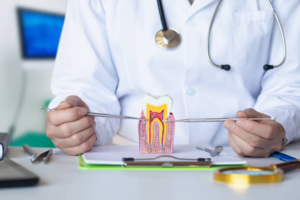 Best Cosmetic Emergency Dentistry in Lake Mohawk, NJ
